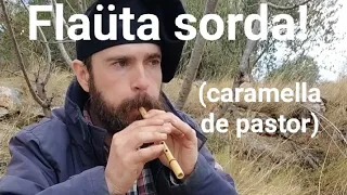 Fem una flaüta sorda! (caramella, gaiteta, clarinet popular).