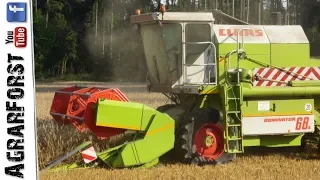 CLAAS DOMINATOR 68 drischt Roggen!