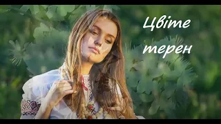 Цвіте терен - ILLARIA - Українська народна пісня - Ukrainian folk song - Украинская народная песня