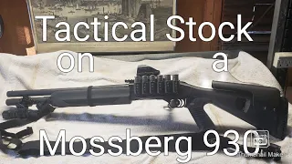 Tactical pistol grip on a Mossberg 930