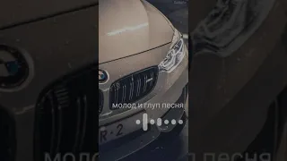 молод и глуп песня / raikaho new Remix ringtone ❤️