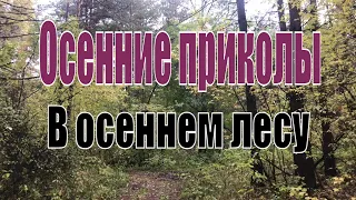 Осенний юмор. Прогулка в  осеннем лесу. Новосибирск Заельцовский парк. Осенние приколы.