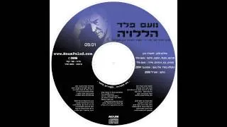 הללויה (לאונרד כהן) בעברית - נועם פלד - Hallelujah (Leonard Cohen) in Hebrew - No'am Peled