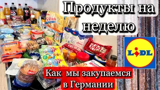 Как мы закупаемся на неделю в Германии / магазин Lidl #закупкапродуктов