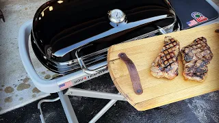 The Best Portable Gas Grill for 2022! / The Weber Traveler Portable Gas Grill Overview, Awesome!