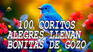 Coros Viejitos Pero Bonitos - Coros Pentecostales - Mas De 100 Coros Avivamiento Pentecostal