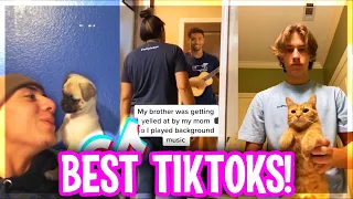 The Best TikTok Compilation of January 2021 #2