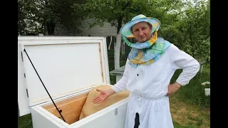 Пчеловодство | Технология пчеловождения в лежаках