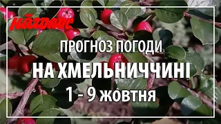 Синоптики прогнозують дощі лише до середини тижня. А далі – бабине літо. Віримо? Чекаємо. NagolosTV