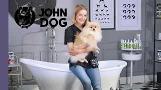 Pielęgnacja psa z sierścią dwuwarstwową – SPA DLA PSA – John Dog