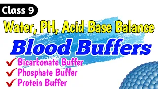 Blood Buffers | Bicarbonate buffer system | Phosphate buffer | Protein Buffers | Class 9