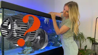Where to place wave maker in fish tank -Help with cleaning tank and surface agitation