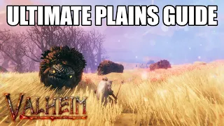 Valheim Late Game Tips & Plains Guide