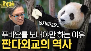 판다 기린 비버 키위새..외교사를 빛낸 동물들 🦫 | 만부교 사건 🐪 | 떠나는 푸바오의 새 이름(?) | 역사스토리텔러 썬킴