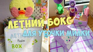 ЛЕТНИЙ БОКС ДЛЯ УТОЧКИ МИЛКИ!☀️