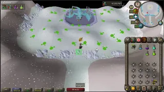 OSRS Vorkath - low/mid level ironman rune crossbow vorkath kill