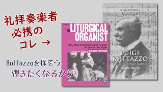 Luigi Bottazzo　Liturgical Organist　リードオルガン
