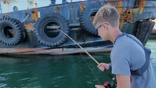 Fort Pierce Florida Goliath Grouper Fishing