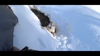 Жайма провалилась под лед .