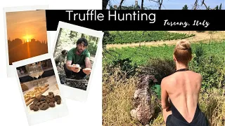 Truffle hunting with a Truffle dog in Italy (Tuscany) | Dream of Italy