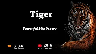 The Tyger – William Blake (Powerful Life Poetry) Motivation Hub