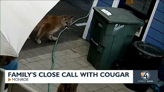 Family's close call with cougar