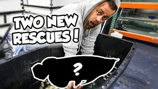 UNBELIEVEABLE FISH RESCUE! YOU GUYS ARE NOT GOING TO BELIEVE WHAT WE FOUND!
