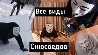 Все виды снюсоедов