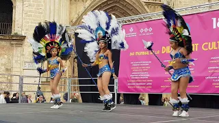 Dia Mundial de la Diversidad Cultural 2019 Valencia Bolivia