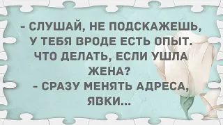 Что делать, если ушла жена? Подборка веселых анекдотов! Приколы!