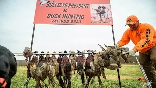 Annual Family Pheasant Hunt | Ohio Upland Hunting