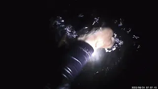 hoje rendeu bastante peixe pesca noturna