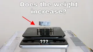 Does The Weight Increase When You Levitate a Superconductor on a Scale?