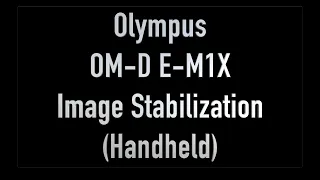OM-D E-M1X - Image Stabilization