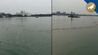 Hyderabad: Plastic garbage floating in Hussain sagar Lake