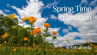 Relaxing Spring Time ~ A calming visual journey with soothing ambient music.