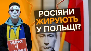 😡ГАНЬБА! російський бізнес у Польщі 💸Гроші не пахнуть?