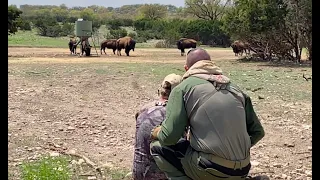 Texas Buffalo Hunting with CROSSBOW - Slow Motion Killshot!!