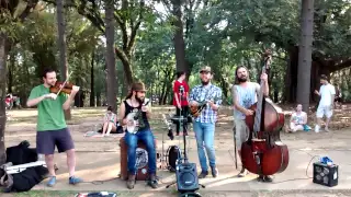 Show O bardo e o banjo ! Ibirapuera