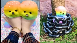 Tik Tok Chó Phốc Sóc Mini 😍 Funny and Cute Pomeranian #94