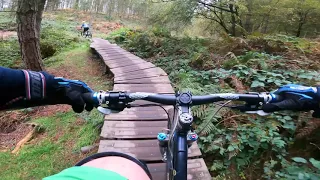 Cannock Chase Best Bits - Mountain Biking- Follow the Dog and Monkey trails