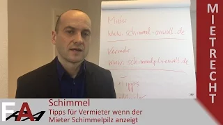 Schimmel - Tipps für Vermieter wenn der Mieter Schimmelpilz anzeigt | Mietrecht