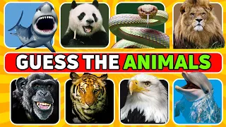 Guess 100 Animals Each in 5 Seconds!