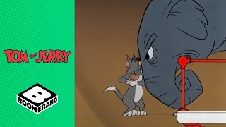 Jerry and his Elephant Bodyguard | Tom and Jerry | Boomerang UK