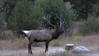 Rocky Mountain  National Park September 23, 2016