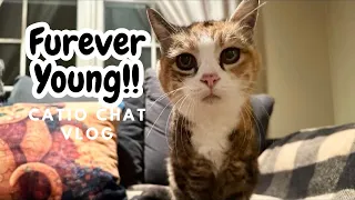 24 Years Old?? Catio Chat Vlog #pets #animals #cats #catlover #catvideo