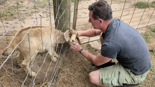 International Goat Rescue