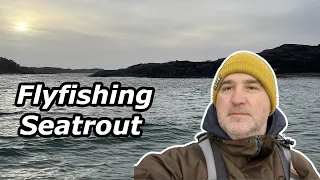 Sjøørret / Seatrout Fishing In Norway!
