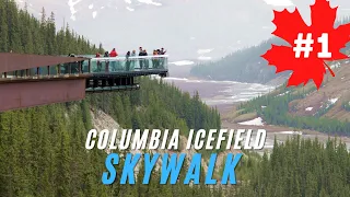 Icefields Parkway - Part 1: Journey from Calgary To Jasper l Lake Louise l Columbia Icefield Skywalk