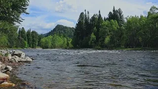 Relaxing sound of a mountain river.